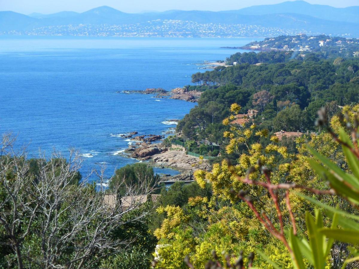 Duplex, Vue Panoramique Sur La Mediterranee, Piscine, Garage Saint-Raphaël Buitenkant foto